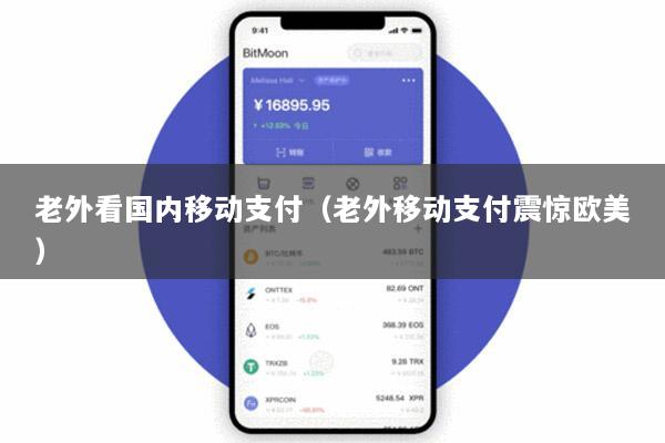 老外看国内移动支付(老外移动支付震惊欧美)