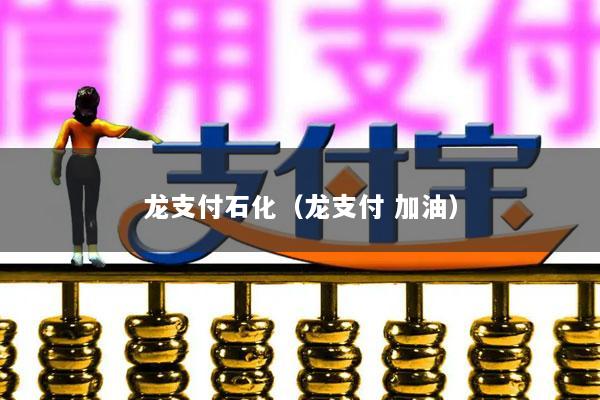 龙支付石化(龙支付 加油)