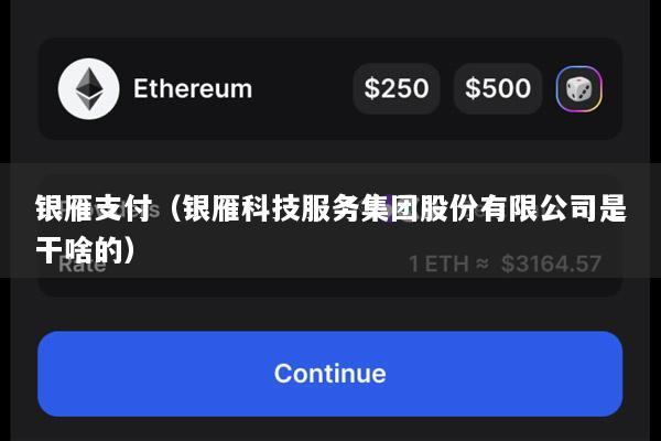 银雁支付(银雁科技服务集团股份有限公司是干啥的)
