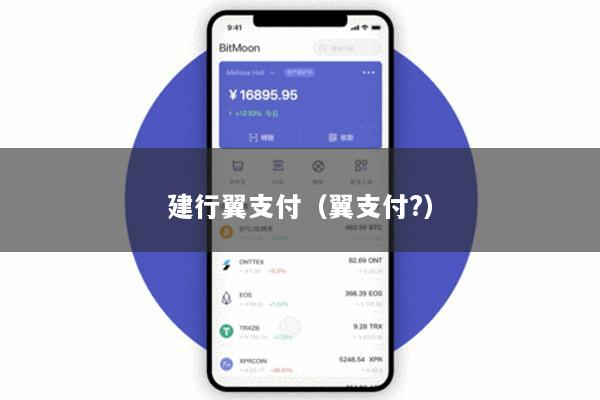 建行翼支付(翼支付?)