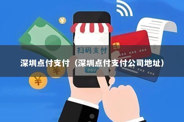 深圳点付支付(深圳点付支付公司地址)