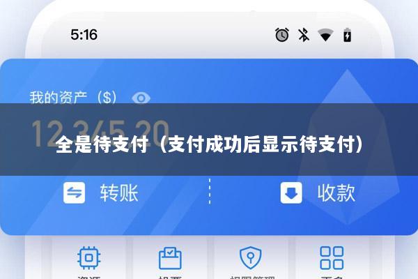 全是待支付(支付成功后显示待支付)