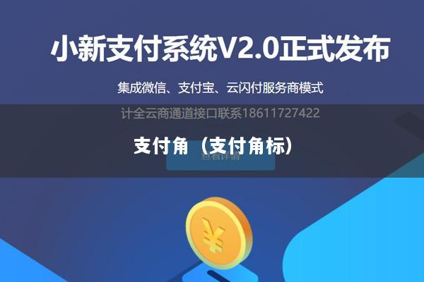 支付角(支付角标)
