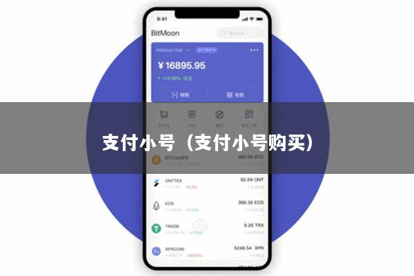 支付小号(支付小号购买)