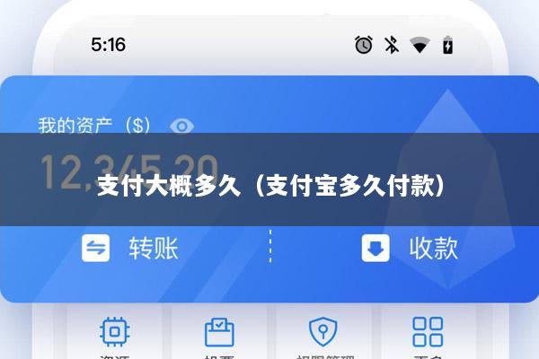 支付大概多久(支付宝多久付款)