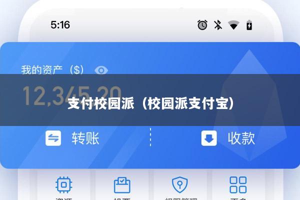 支付校园派(校园派支付宝)