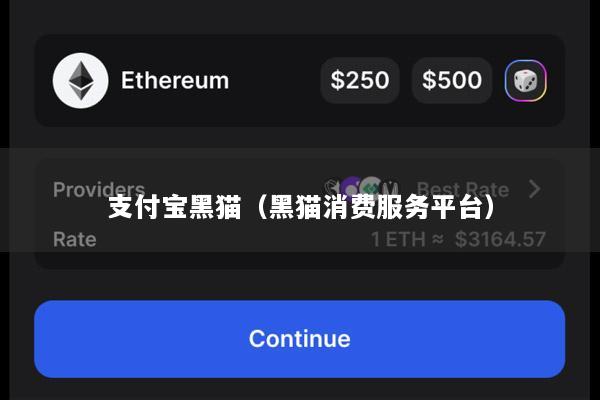 支付宝黑猫(黑猫消费服务平台)