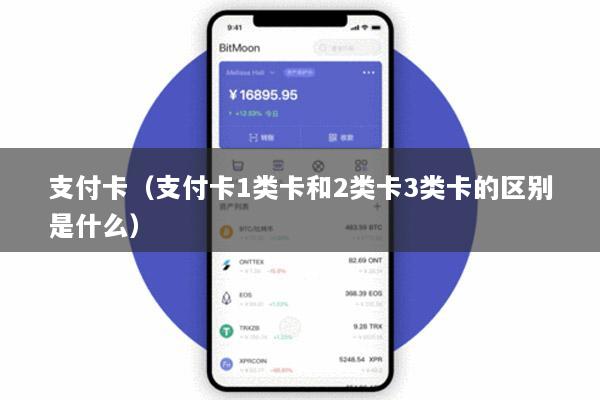 支付卡(支付卡1类卡和2类卡3类卡的区别是什么)