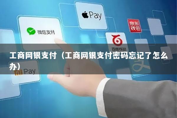 工商网银支付(工商网银支付密码忘记了怎么办)