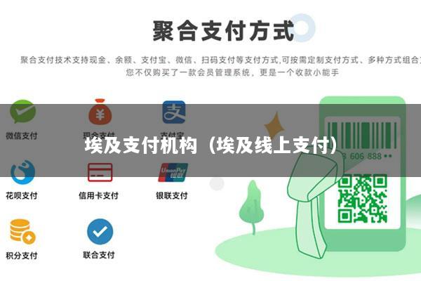 埃及支付机构(埃及线上支付)