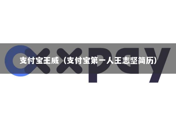 支付宝王威(支付宝第一人王志坚简历)