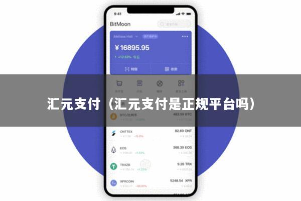 汇元支付(汇元支付是正规平台吗)