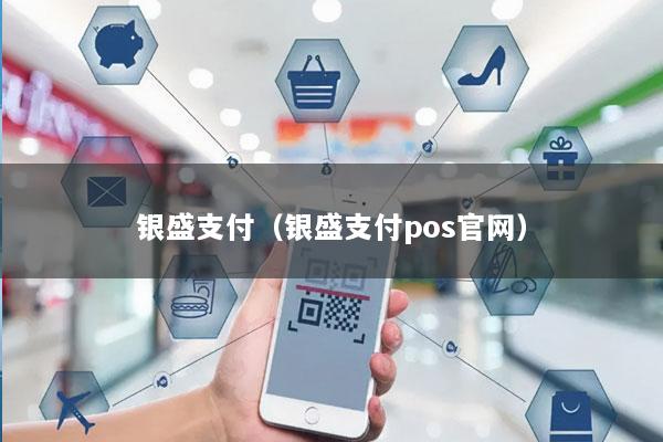 银盛支付(银盛支付pos官网)