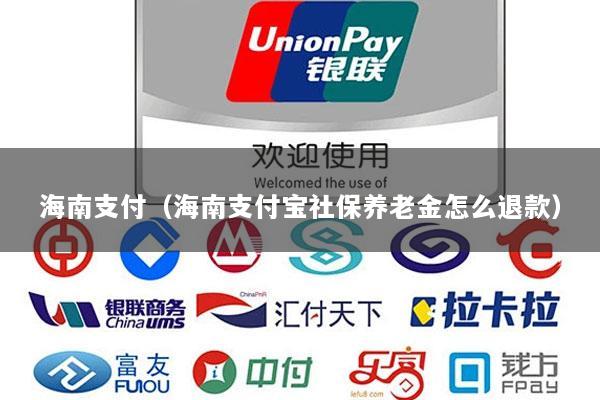 海南支付(海南支付宝社保养老金怎么退款)