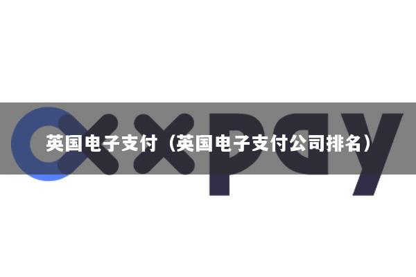 英国电子支付(英国电子支付公司排名)