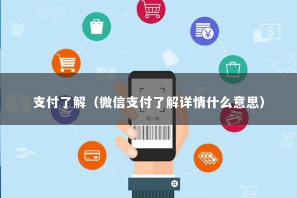 支付了解(微信支付了解详情什么意思)