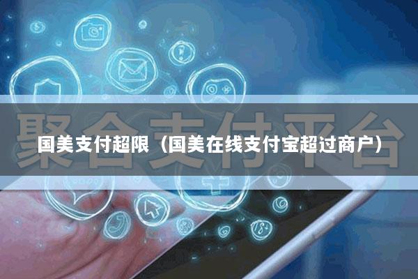 国美支付超限(国美在线支付宝超过商户)