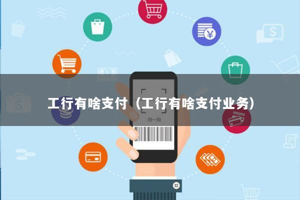 工行有啥支付(工行有啥支付业务)