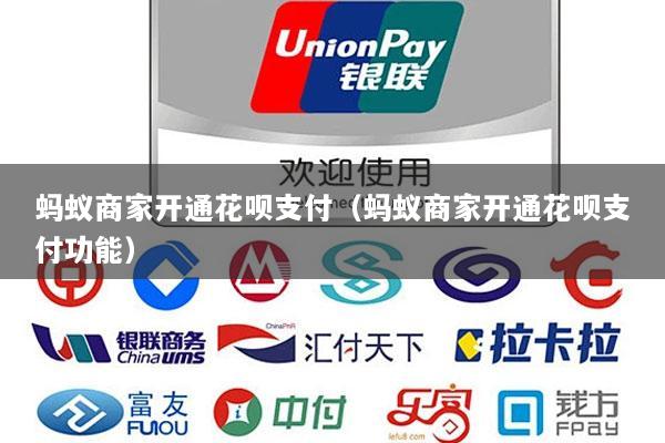 蚂蚁商家开通花呗支付(蚂蚁商家开通花呗支付功能)