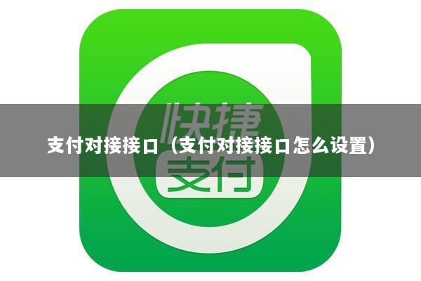支付对接接口(支付对接接口怎么设置)