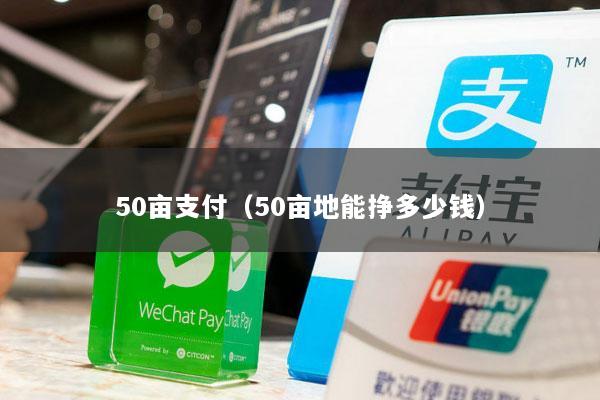 50亩支付(50亩地能挣多少钱)