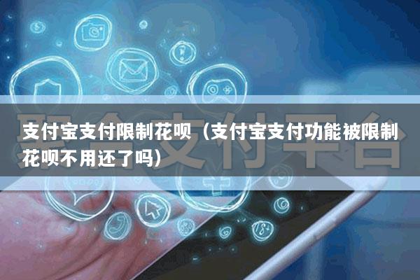 支付宝支付限制花呗(支付宝支付功能被限制花呗不用还了吗)