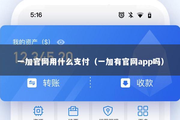 一加官网用什么支付(一加有官网app吗)