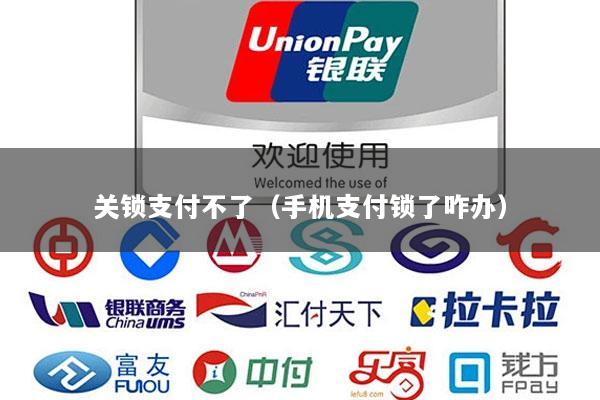 关锁支付不了(手机支付锁了咋办)
