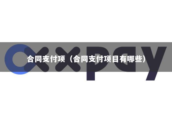 合同支付项(合同支付项目有哪些)